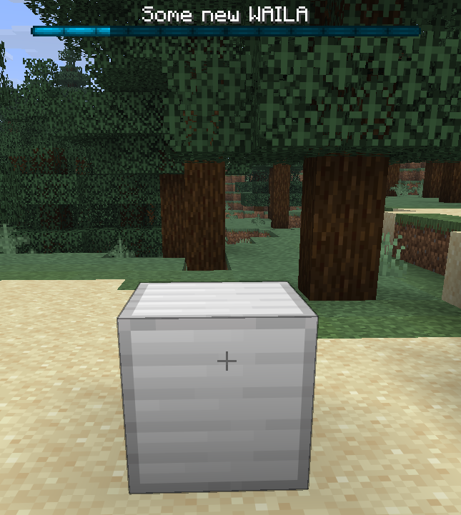 Custom WAILA language entry